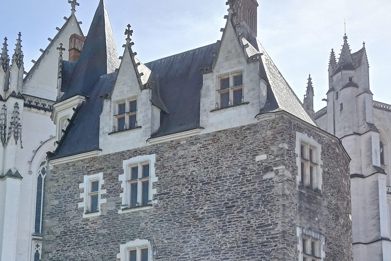 Nantes: 90-minute tour of St. Peter and St. Paul Cathedral with a professional guide