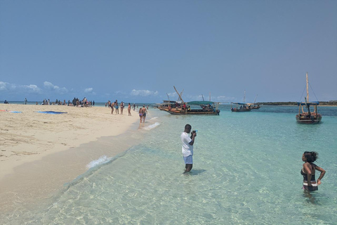 Zanzibar;Blue Safari Snorkeling & Blue Lagoon with BBQ lunch Pickup anywhere (All inclusive)