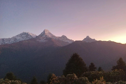 Pokhara: Excursión de 3 días a Poon Hill, de pulso fácil.