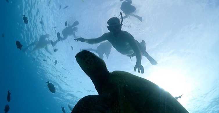 Oahu: Waikiki schildpadden snorkel avontuur cruise