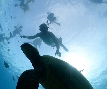 Oahu: Waikiki Turtle Snorkeling Adventure Cruise