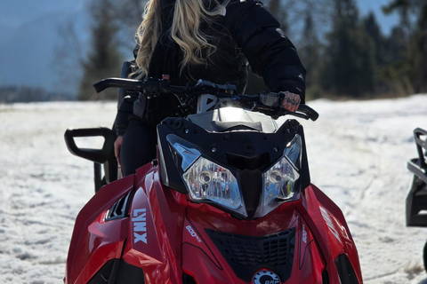 Zakopane: Tatra Mountains Buggy Quad or Snowmobile Adventure
