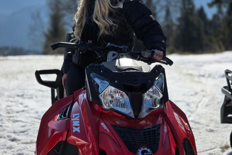 Zakopane: Tatra Mountains Buggy Quad or Snowmobile Adventure