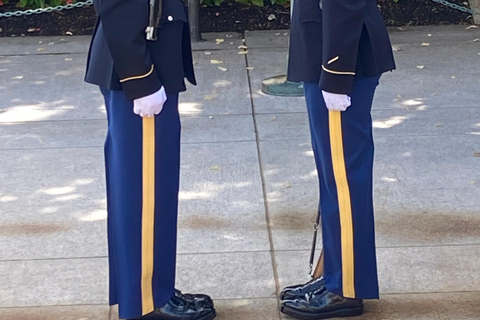 Cmentarz Arlington: Prywatna wycieczka dla maksymalnie 10 osób