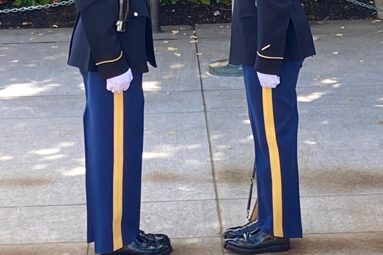 Cmentarz Arlington: Prywatna wycieczka dla maksymalnie 10 osób