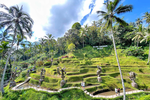 Ubud: Gorilla Cave ATV, Rice Terrace & Cretya Pool Tour Tandem Atv Ride meet at Venue(No Rice terrace & Cretya Tour)