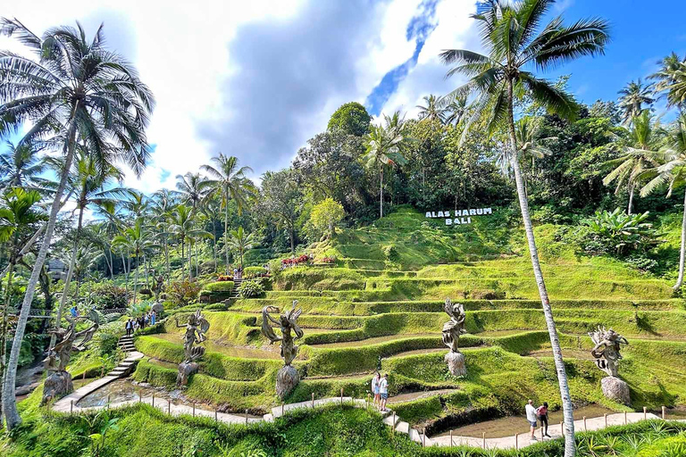 Ubud: Gorilla Cave ATV, Rice Terrace & Cretya Pool Tour Tandem Atv Ride meet at Venue(No Rice terrace & Cretya Tour)