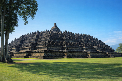 Yogyakarta: Dieng Plateau, Tea Plantation & Borobudur Sunset Dieng Plateau, Tea Plantation & Borobudur Include Ticket