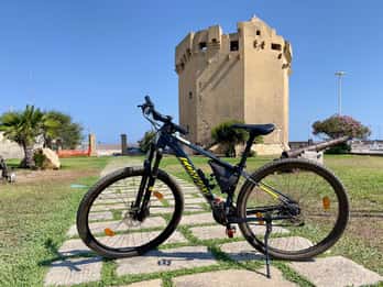 Porto Torres: rent your mountain bike to discover Asinara