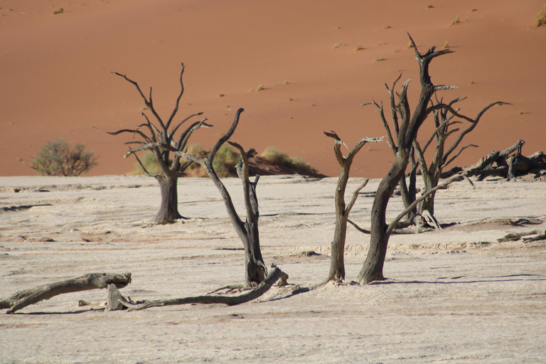 10 Days Taste of Namibia | Auto Tour Camping