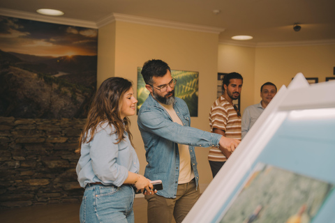Porto: WOW Day Pass & Taylor’s Port Cellar Tour