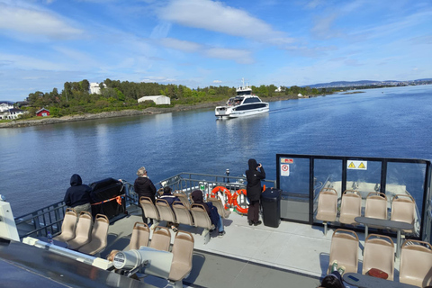 Oslo: Oslofjord Electric Boat Cookie Cruise