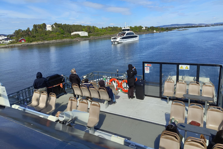 Oslo: Oslofjord Electric Boat Cookie Cruise