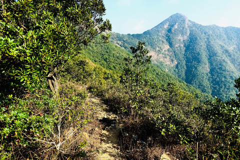 Ma On Shan Ridge & Hunchbacks Advanced Hike (Full Day)