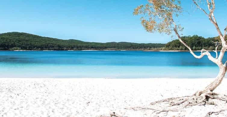 Viajar a Isla Fraser, Queensland, Australia: Qué Ver y Dónde Alojarse