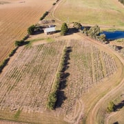 Hobart: Charles Reuben Estate Wine & Spirits Tasting