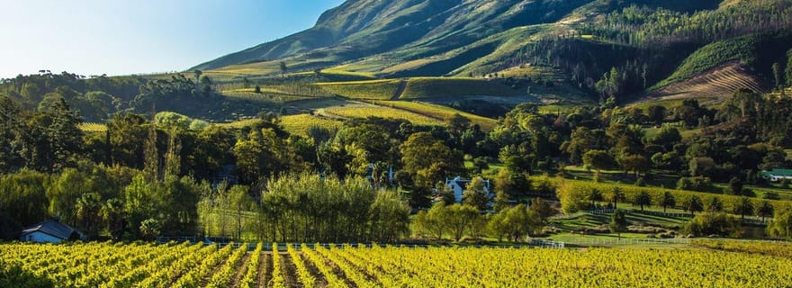Stellenbosch : Visite privée tout compris et dégustations de vins