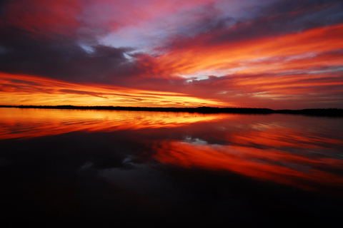 Marco Island: 10,000 Islands 3.5-hr Shelling & Dolphin Tour
