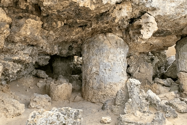 Stone Forest: Bulgaria's Hidden Energy Experience