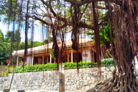 Naha: Shurijo Castle & Tamaudun Guided Walking Tour Morning visit