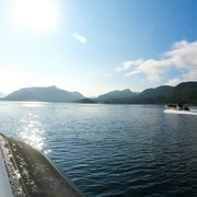 From Stavanger Lysefjord Sightseeing Rib Boat Tour Getyourguide