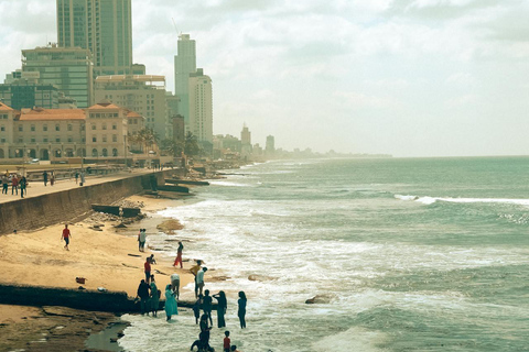 Colombo Tour - obserwacja delfinów podczas luksusowego rejsu i wycieczka po mieścieColombo Dolphin Watching podczas luksusowego rejsu wycieczkowego i zwiedzania miasta