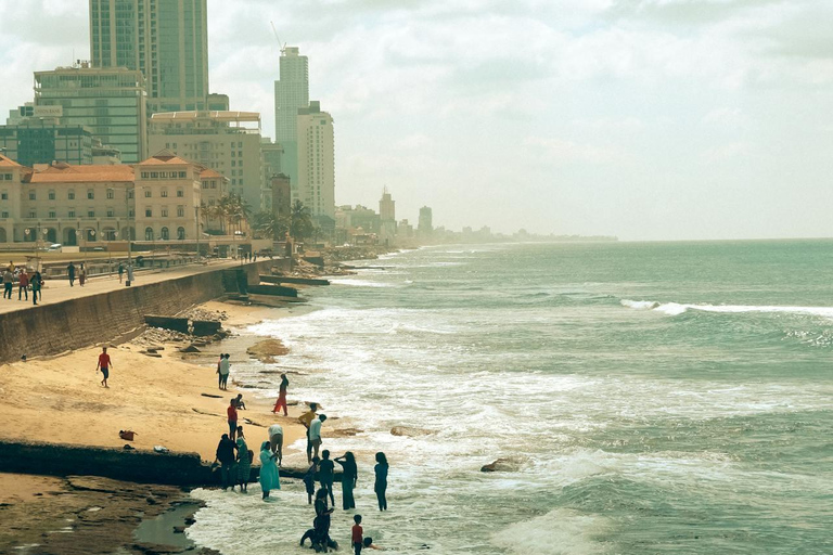 Colombo Tour - obserwacja delfinów podczas luksusowego rejsu i wycieczka po mieścieColombo Dolphin Watching podczas luksusowego rejsu wycieczkowego i zwiedzania miasta