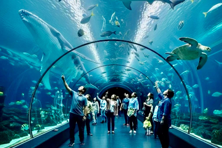 Osaka: Explore Cultural Gems with Pickup & Private Guide