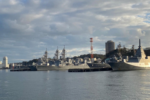 Yokosuka: Boat Trip to Natural Island and Naval Port Cruise
