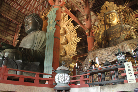 Osaka:Nara & Uji In-depth One-Day Tour丨Deer Feeding