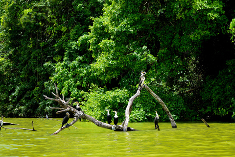 Duluti-See: Kanufahren, Naturwanderung und ExtraKajakfahren, Spaziergang in der Natur und Töpferkurs