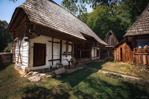 Brașov: Dumbrava Sibiului Museum & Sibiu Day Trip