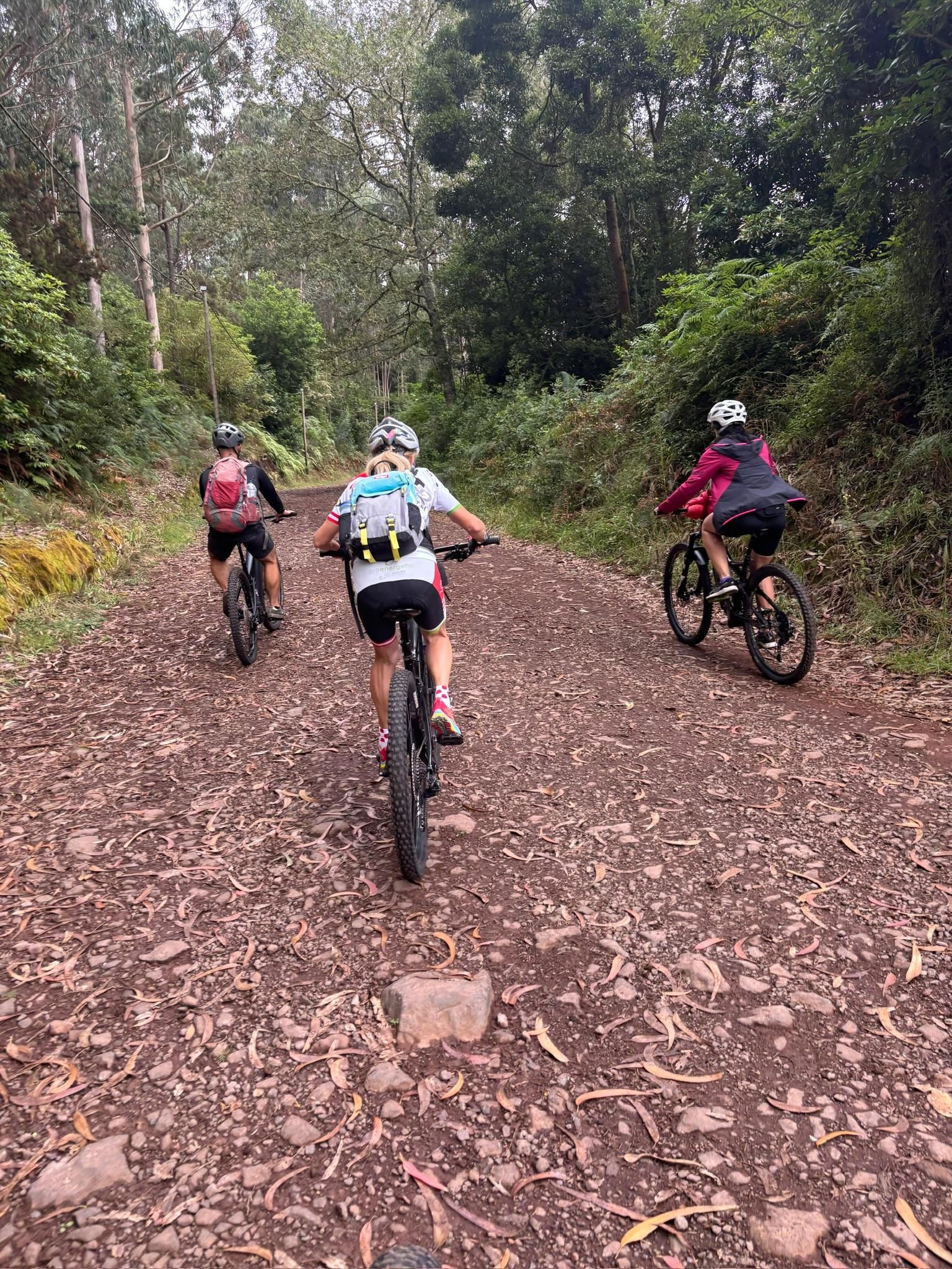 Madeira: Radabenteuer an der Nordküste