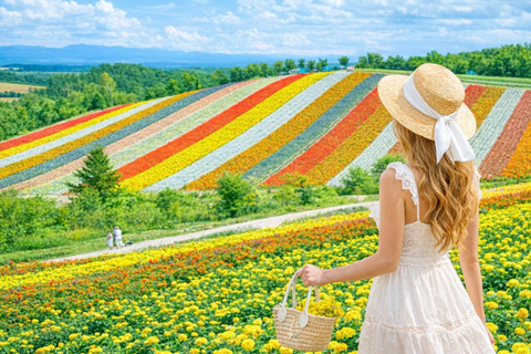Summer Hokkaido: Furano lavender, Blue Pond,Shikisai-no-Oka 7:50 am meet at Odori Park subway station exit 31