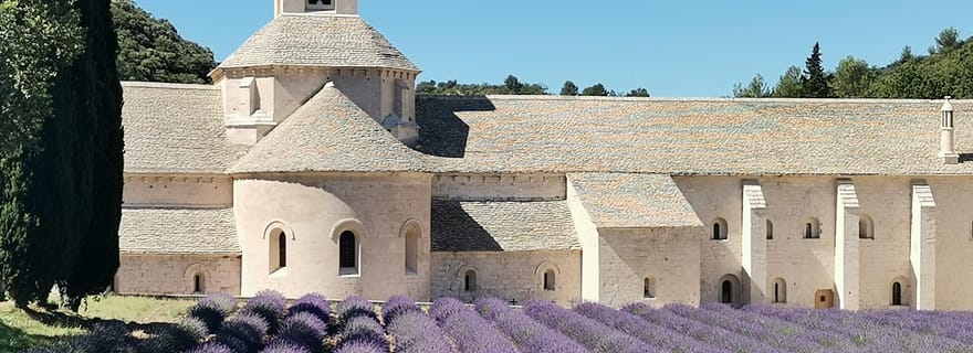 Au départ de Marseille : Visite privée personnalisable d'une journée en Provence