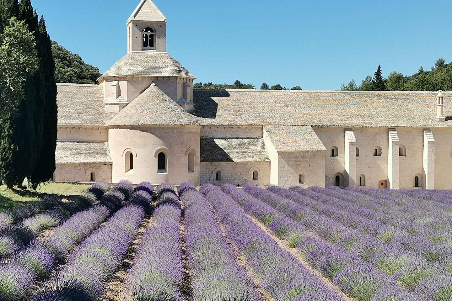 From Marseille: Customizable Private Day Tour of Provence - From Marseille: Provence Customizable Half-Day Tour