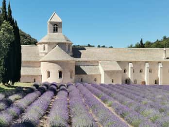 From Marseille: Customizable Private Day Tour of Provence
