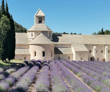 Au départ de Marseille : Visite privée personnalisable d'une journée en Provence