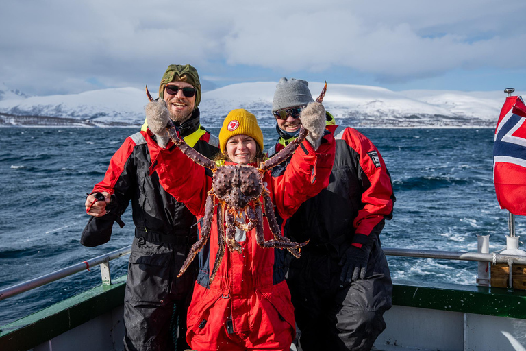 The official Tromsø king crab fish tour
