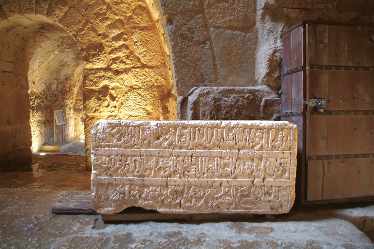 Escursione a Jerash e al Castello di AjlounEscursione di un giorno a Jerash e al Castello di Ajloun