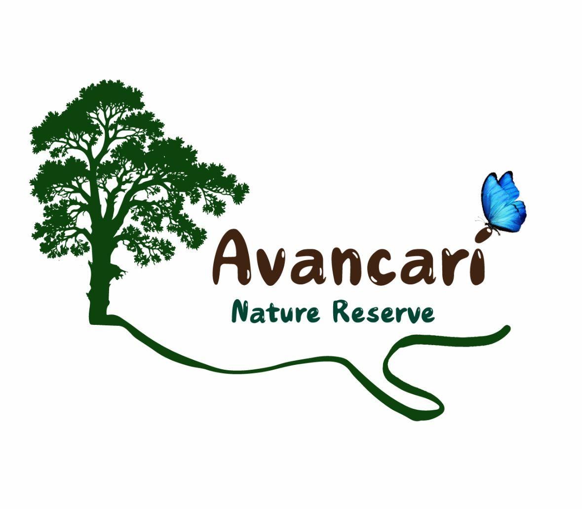 Sightseeing-Tour auf eigene Faust im Avancarí Nature Reserve