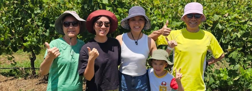 Départ de Sydney : visite des vignobles de la Hunter Valley