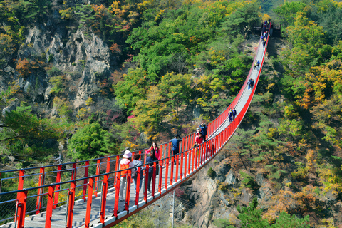 Seoul to DMZ: Waterfall, Hanok Village and Suspension Bridge Basic DMZ Tour (Myeongdong)