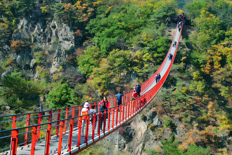 Seoul to DMZ: Waterfall, Hanok Village and Suspension Bridge Basic DMZ Tour (Myeongdong)