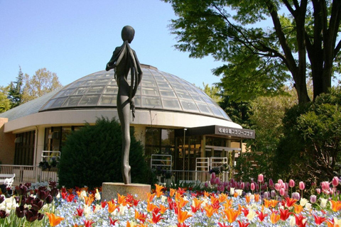 From Tokyo: Ghibli Park & Nagoya City Tour with Expert Guide