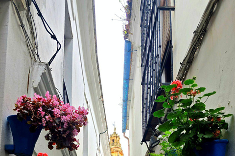 Seville: Cordoba and Carmona Guided Day Trip by Bus