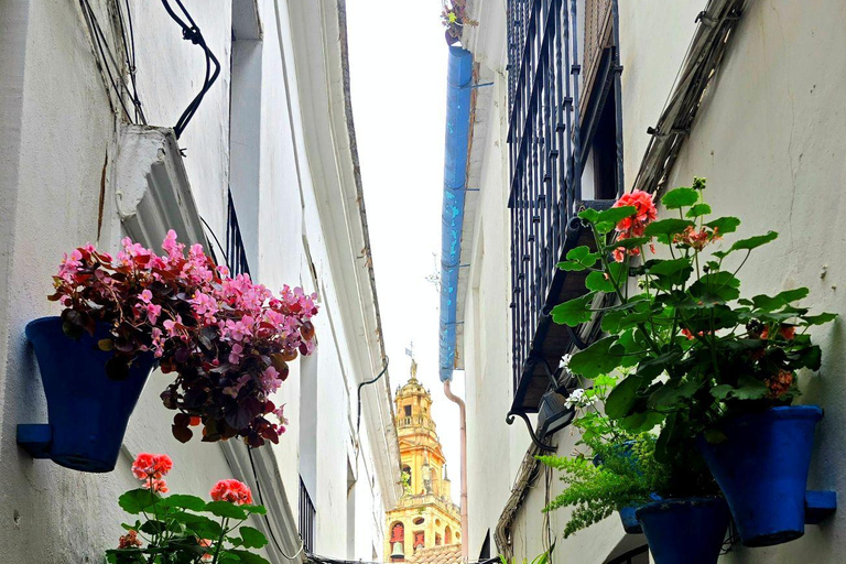 Seville: Cordoba and Carmona Guided Day Trip by Bus