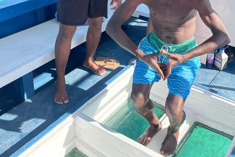 Excursión de un día a la Playa de Siete Millas de Negril y al Café de RickDesde Montego Bay