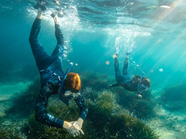Marseille: Snorkeling Excursion to the Frioul Islands