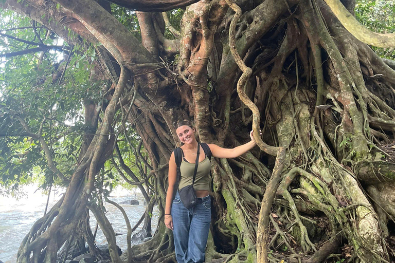 From Ho Chi Minh: Cat Tien National Park 2-Day Tour